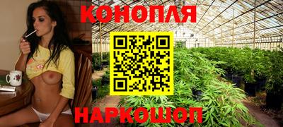 Альфа ПВП Беслан