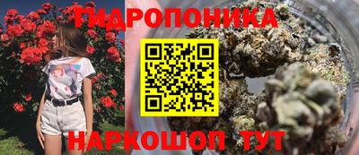 соль ск Бийск